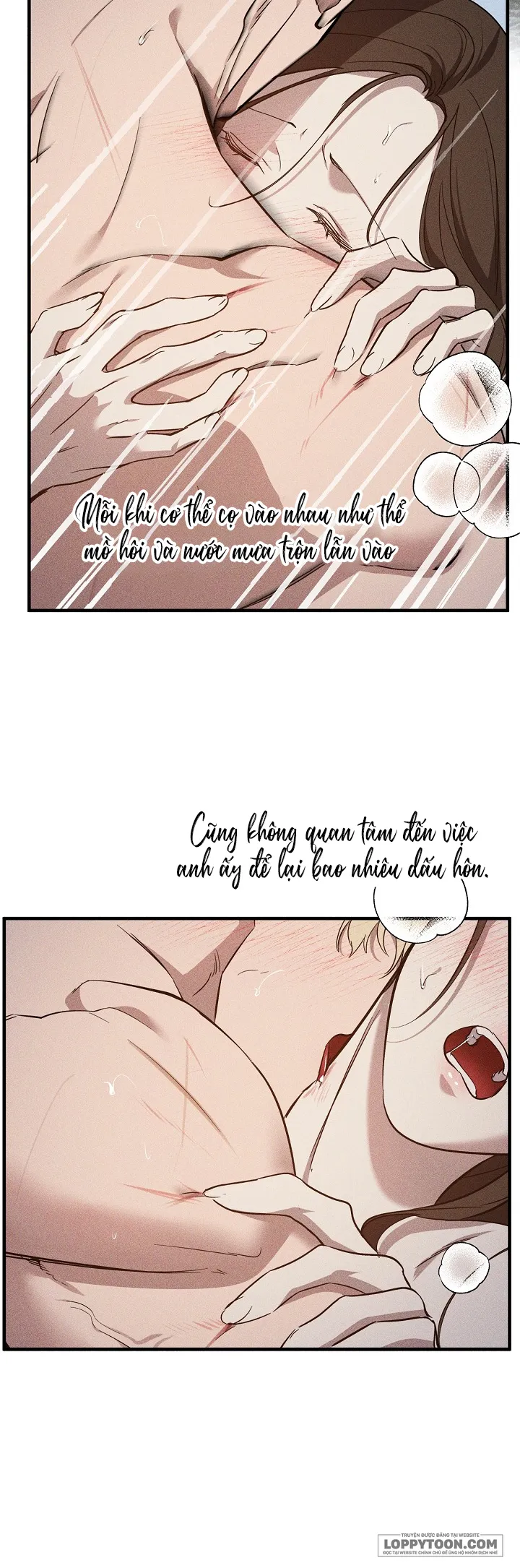 Có Lẽ Anh Ta Không Phải Là Chồng Của Tôi - Chap 6 - Trang 28