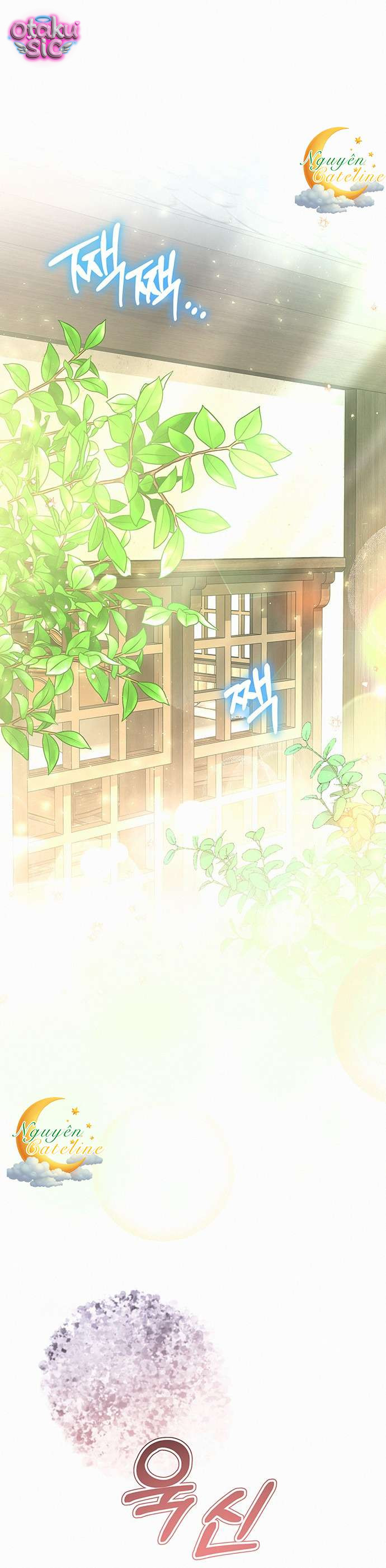Có lẽ… cuộc hôn nhân này vốn đã là một sai lầm. - Chap 30 - Trang 1