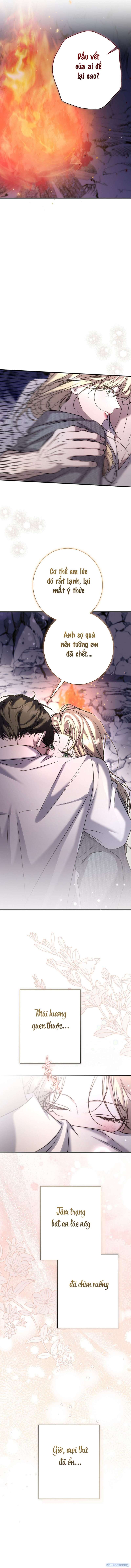 Cô Tiểu Thư Quá Đỗi Tò Mò - Chap 14 - Trang 6