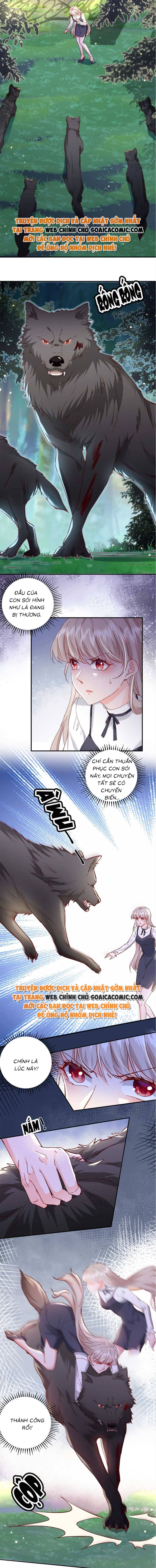 Cô Vợ Của Tôi Không Dễ Bắt Nạt - Chap 31 - Trang 3