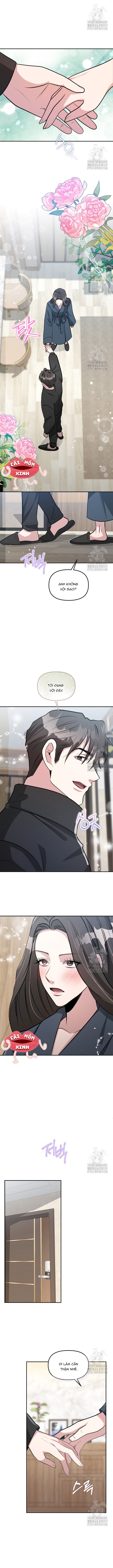 Collector - Chap 39 - Trang 3