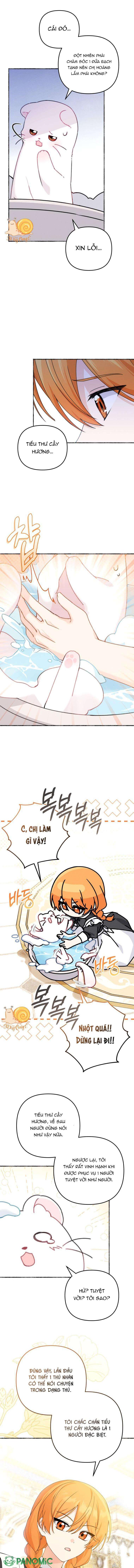 Con Dâu Của Kẻ Phản Diện Là Một Người Có Quyền Lực - Chap 2 - Trang 9