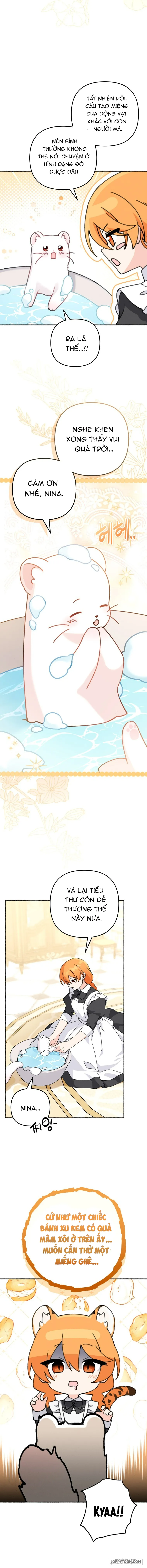 Con Dâu Của Kẻ Phản Diện Là Người Có Tố Chất Quyền Lực - Chap 2 - Trang 11