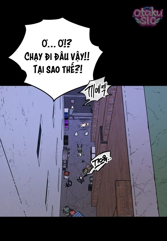 Con Rối Thần Tượng - Chap 20 - Trang 20