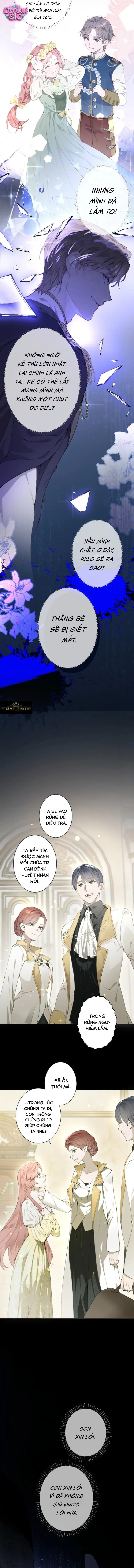 Công tước hợp đồng cưng chiều tôi vô điều kiện - Chap 2 - Trang 3