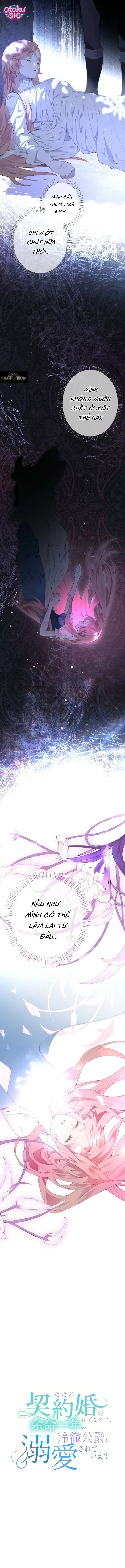 Công tước hợp đồng cưng chiều tôi vô điều kiện - Chap 2 - Trang 4