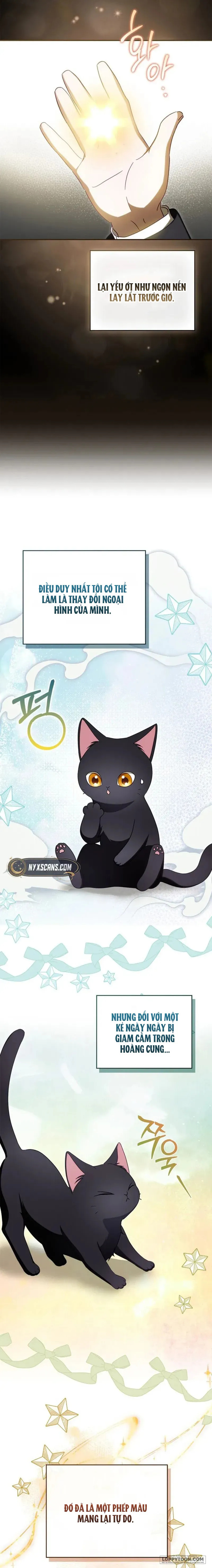 Công Tước Phu Nhân Đang Tìm Chồng - Chap 8 - Trang 22