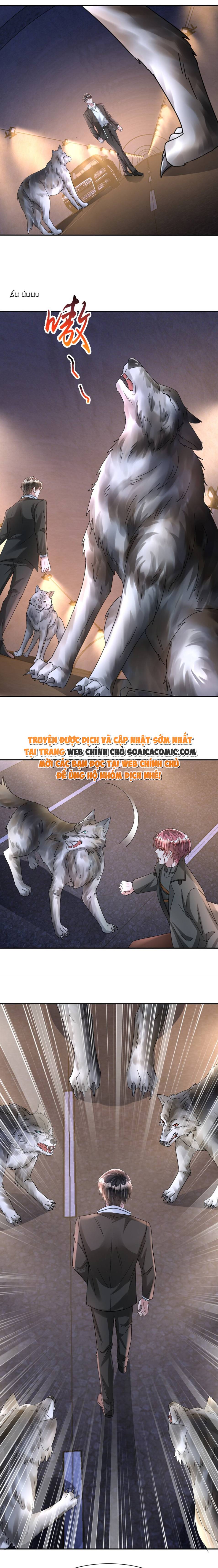 Cuộc Hôn Nhân Với Boss Nhà Giàu Khét Tiếng - Chap 126 - Trang 15