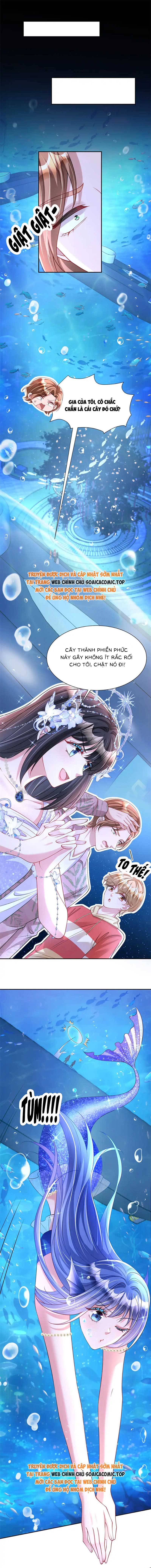 Cuộc Hôn Nhân Với Boss Nhà Giàu Khét Tiếng - Chap 170 - Trang 7