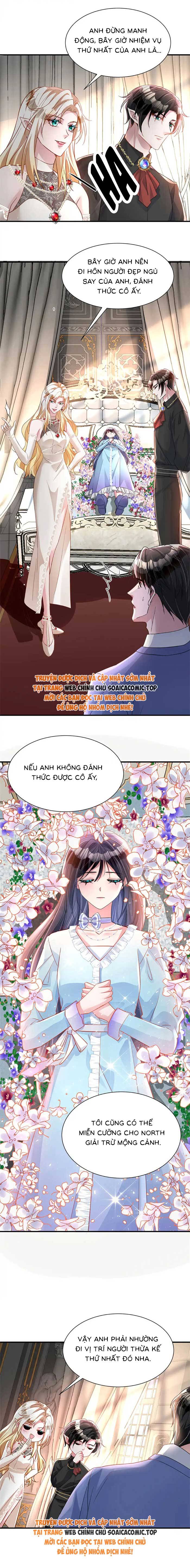 Cuộc Hôn Nhân Với Boss Nhà Giàu Khét Tiếng - Chap 202 - Trang 6