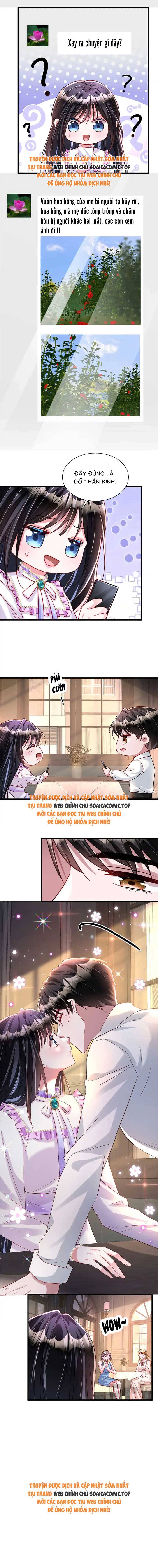 Cuộc Hôn Nhân Với Boss Nhà Giàu Khét Tiếng - Chap 209 - Trang 6