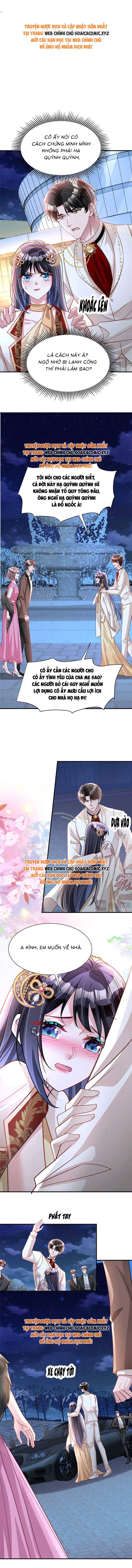 Cuộc Hôn Nhân Với Boss Nhà Giàu Khét Tiếng - Chap 216 - Trang 1