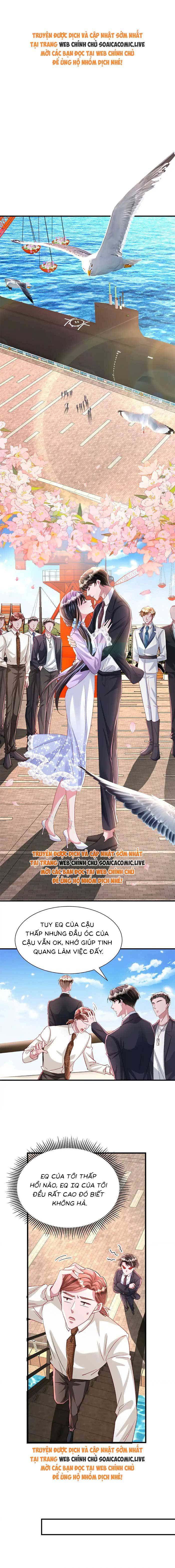 Cuộc Hôn Nhân Với Boss Nhà Giàu Khét Tiếng - Chap 217 - Trang 1