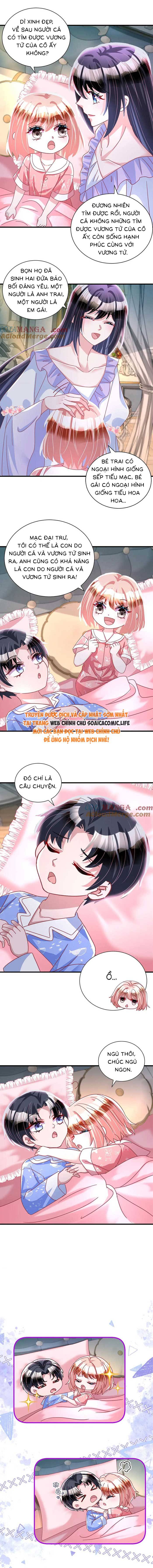 Cuộc Hôn Nhân Với Boss Nhà Giàu Khét Tiếng - Chap 228 - Trang 2