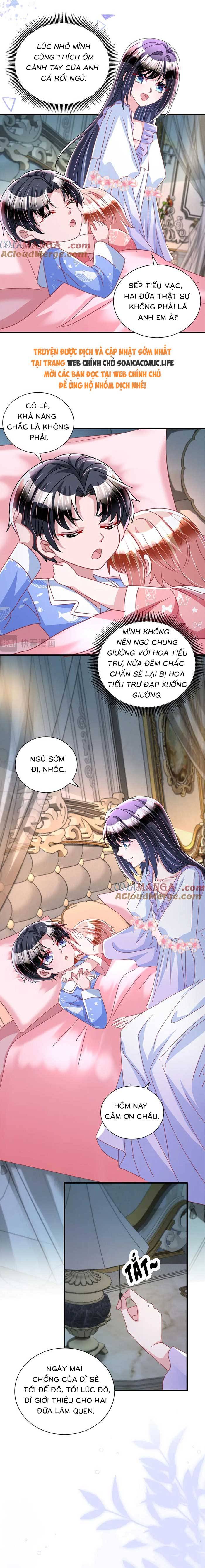 Cuộc Hôn Nhân Với Boss Nhà Giàu Khét Tiếng - Chap 228 - Trang 3
