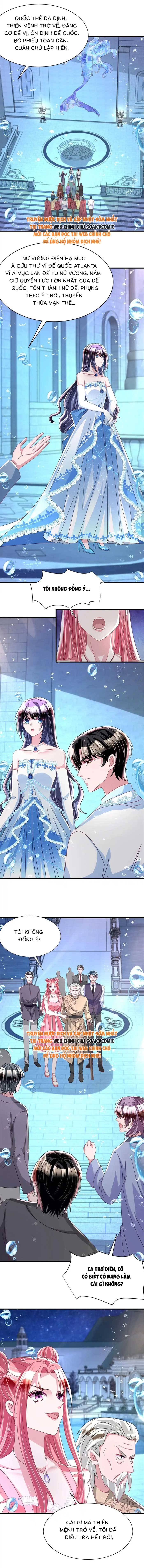 Cuộc Hôn Nhân Với Boss Nhà Giàu Khét Tiếng - Chap 231 - Trang 4
