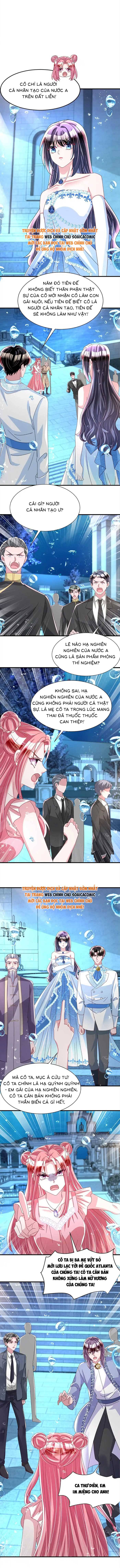Cuộc Hôn Nhân Với Boss Nhà Giàu Khét Tiếng - Chap 231 - Trang 5