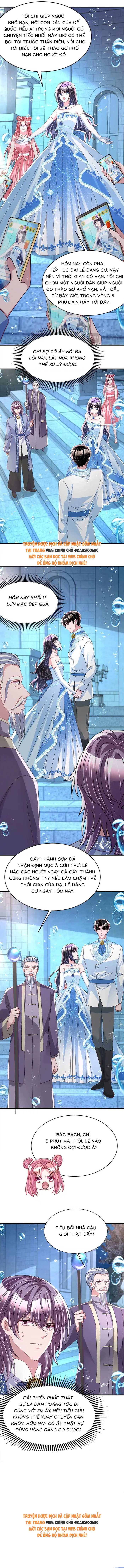 Cuộc Hôn Nhân Với Boss Nhà Giàu Khét Tiếng - Chap 231 - Trang 9