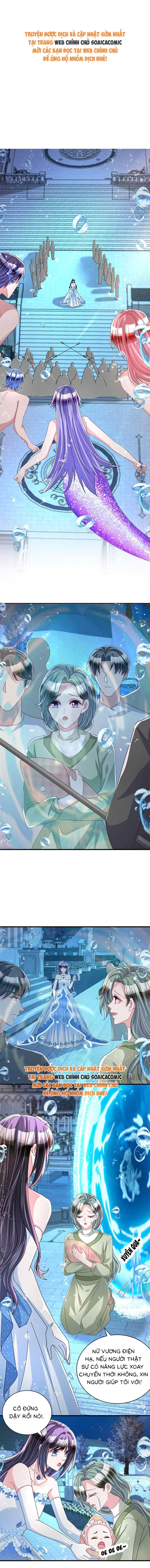 Cuộc Hôn Nhân Với Boss Nhà Giàu Khét Tiếng - Chap 232 - Trang 1