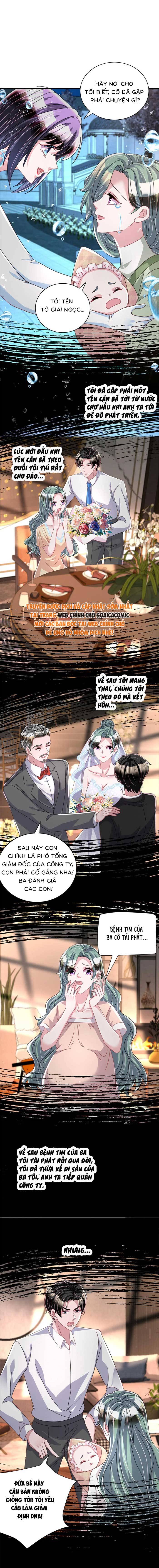 Cuộc Hôn Nhân Với Boss Nhà Giàu Khét Tiếng - Chap 232 - Trang 2