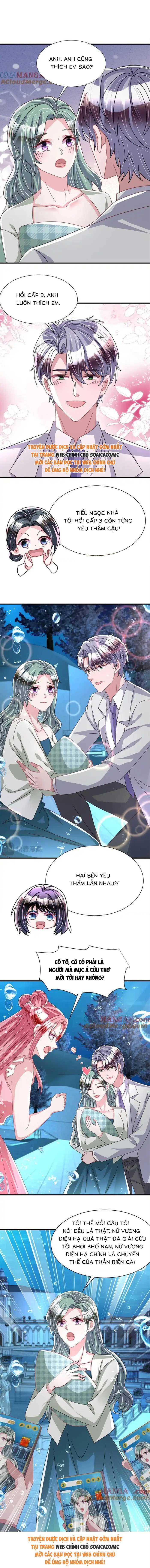 Cuộc Hôn Nhân Với Boss Nhà Giàu Khét Tiếng - Chap 233 - Trang 7
