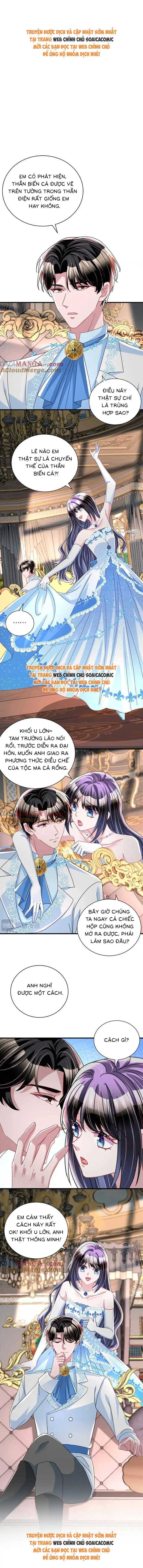 Cuộc Hôn Nhân Với Boss Nhà Giàu Khét Tiếng - Chap 234 - Trang 1