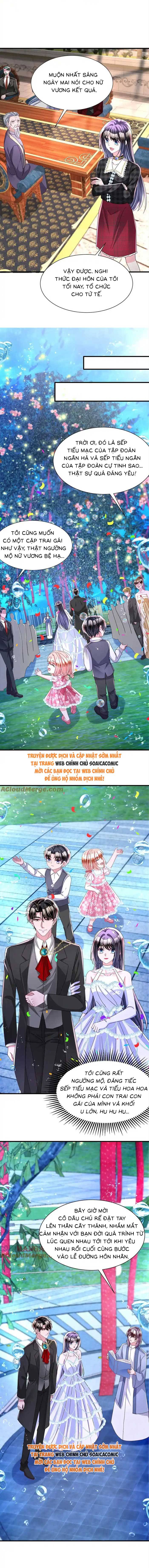 Cuộc Hôn Nhân Với Boss Nhà Giàu Khét Tiếng - Chap 235 - Trang 6
