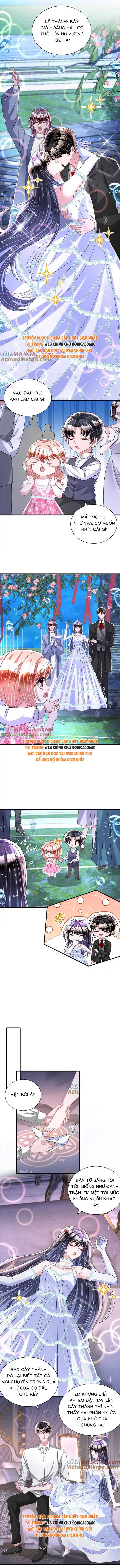Cuộc Hôn Nhân Với Boss Nhà Giàu Khét Tiếng - Chap 236 - Trang 2
