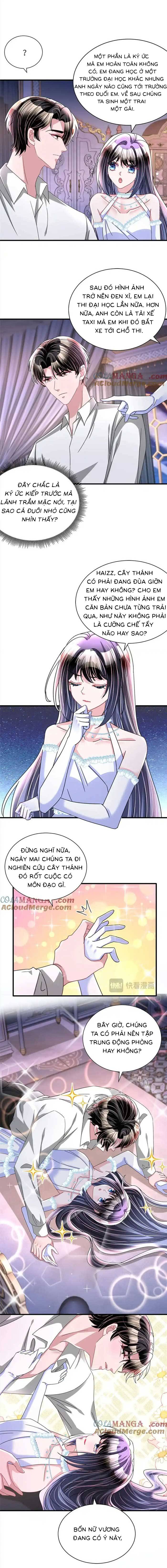Cuộc Hôn Nhân Với Boss Nhà Giàu Khét Tiếng - Chap 236 - Trang 3