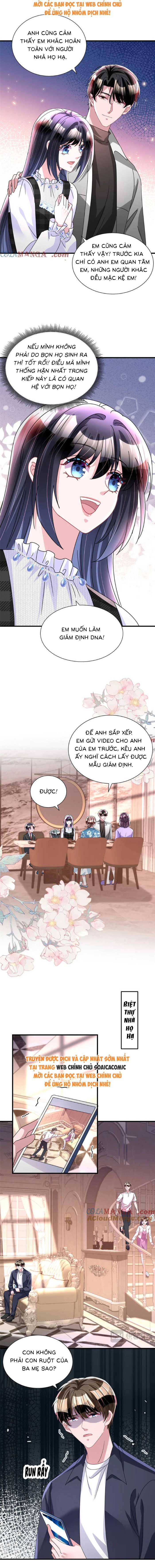 Cuộc Hôn Nhân Với Boss Nhà Giàu Khét Tiếng - Chap 244 - Trang 4