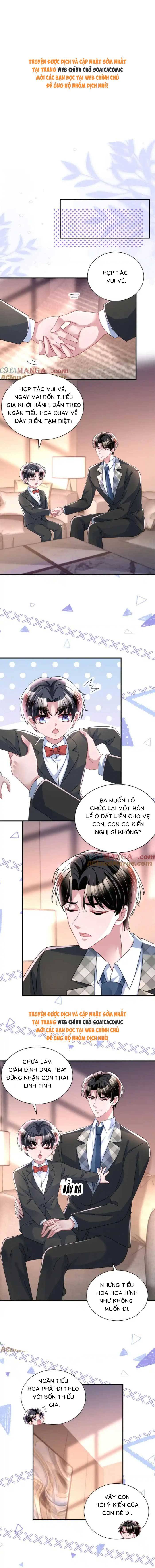 Cuộc Hôn Nhân Với Boss Nhà Giàu Khét Tiếng - Chap 246 - Trang 1