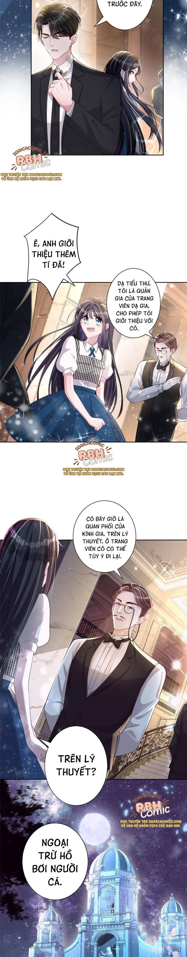 Cuộc Hôn Nhân Với Boss Nhà Giàu Khét Tiếng - Chap 5 - Trang 8