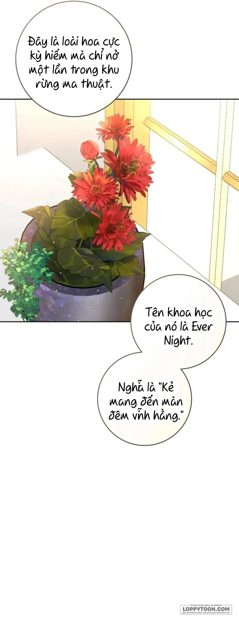 Cuộc Hôn Nhân Xa Hoa Của Đại Công Tước Là Giả - Chap 103 - Trang 6