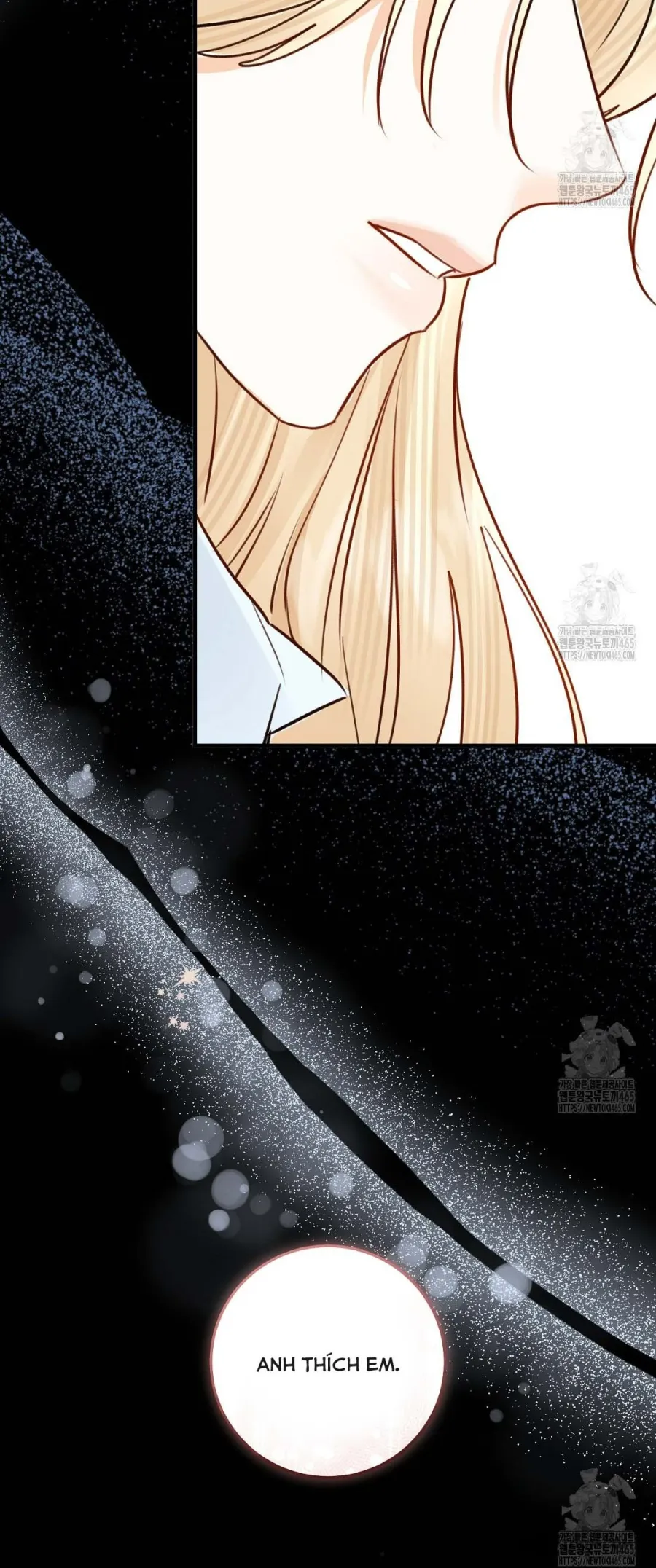 Cuộc Hôn Nhân Xa Hoa Của Đại Công Tước Là Giả - Chap 72 - Trang 26