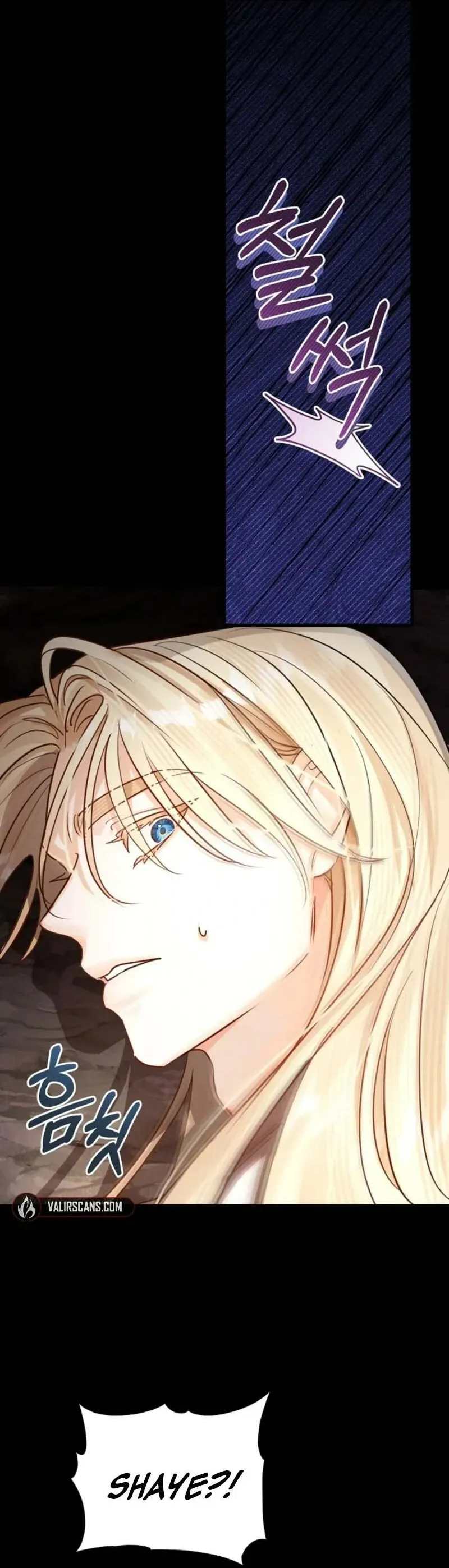 Cuộc Hôn Nhân Xa Hoa Của Đại Công Tước Là Giả - Chap 88 - Trang 28