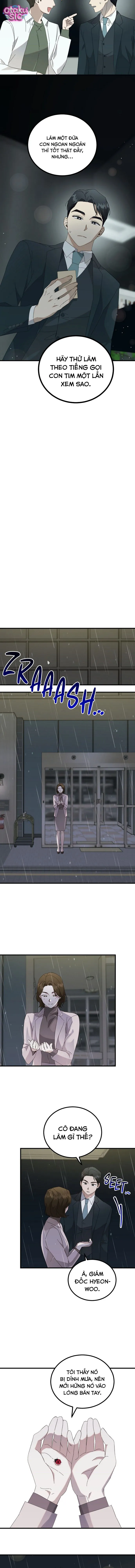 Cuộc Ly Hôn Rực Rỡ - Chap 2 - Trang 8