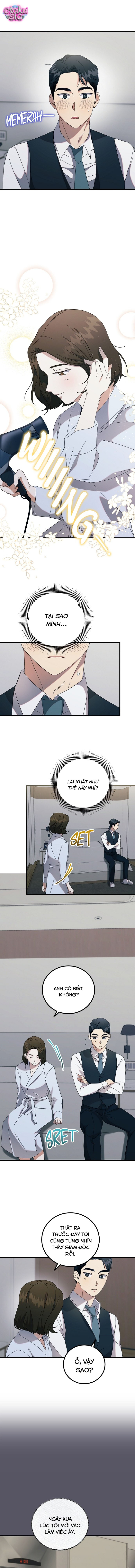 Cuộc Ly Hôn Rực Rỡ - Chap 3 - Trang 6