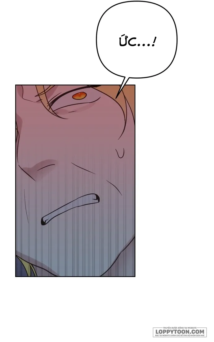 Cuộc Sống Hạnh Phúc Cùng Chồng - Chap 48 - Trang 31