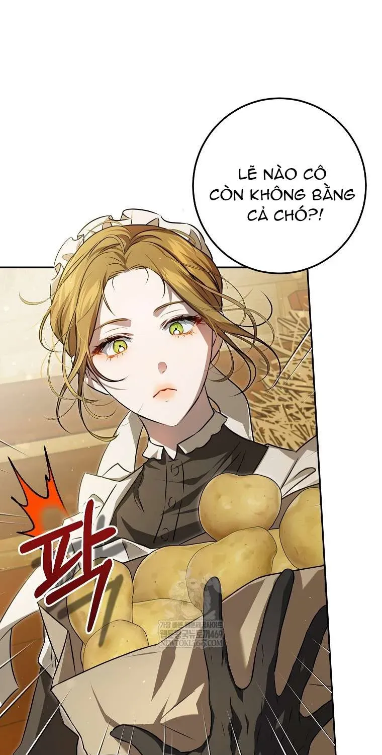Cuộc Sống Yên Bình Của Cô Hầu Gái Che Giấu Sức Mạnh - Chap 5 - Trang 19