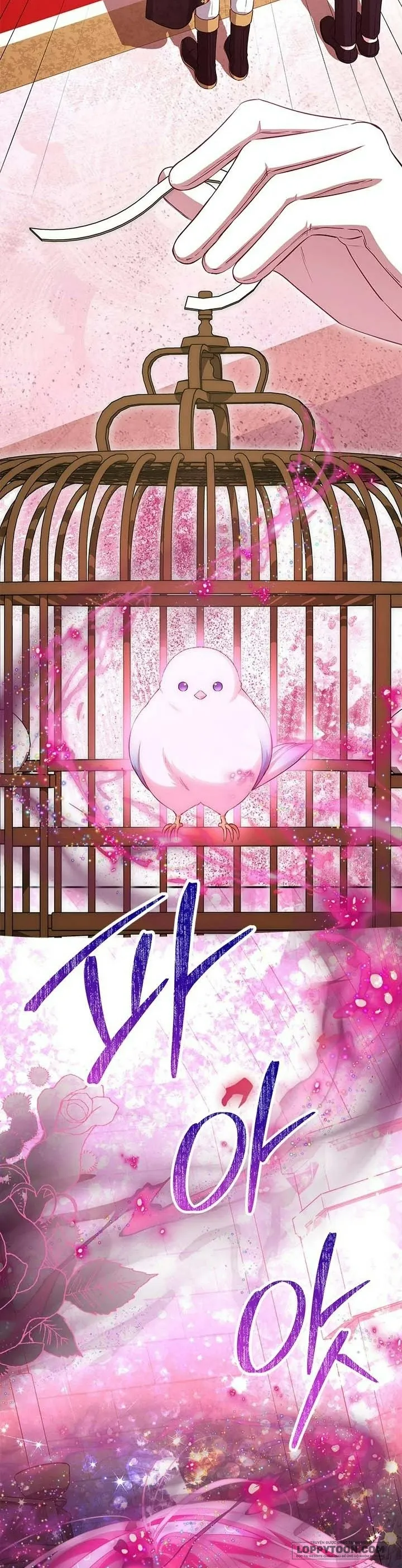 Đã Từ Chối Sủng Ái Rồi Mà Sao Còn Ám Ảnh Thế? - Chap 62 - Trang 11