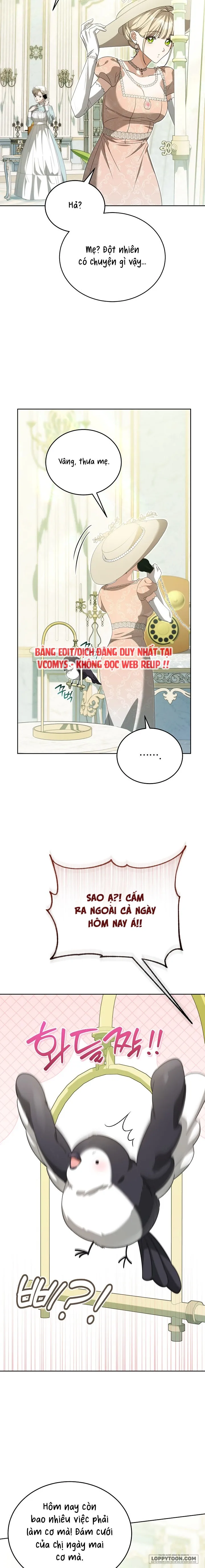 Đại Công Tước Chó Má Của Tôi - Chap 11 - Trang 22