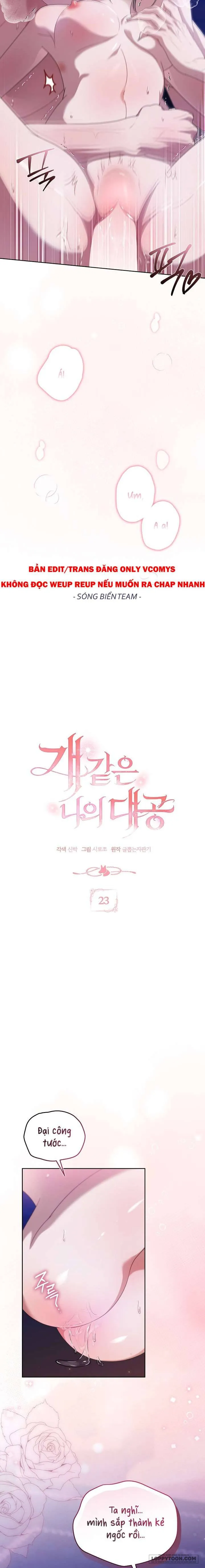 Đại Công Tước Chó Má Của Tôi - Chap 23 - Trang 7