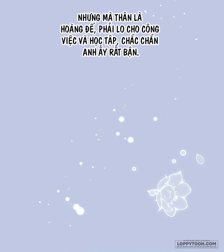 Đại Tiểu Thư Sao Phải Giả Nam - Chap 109 - Trang 30