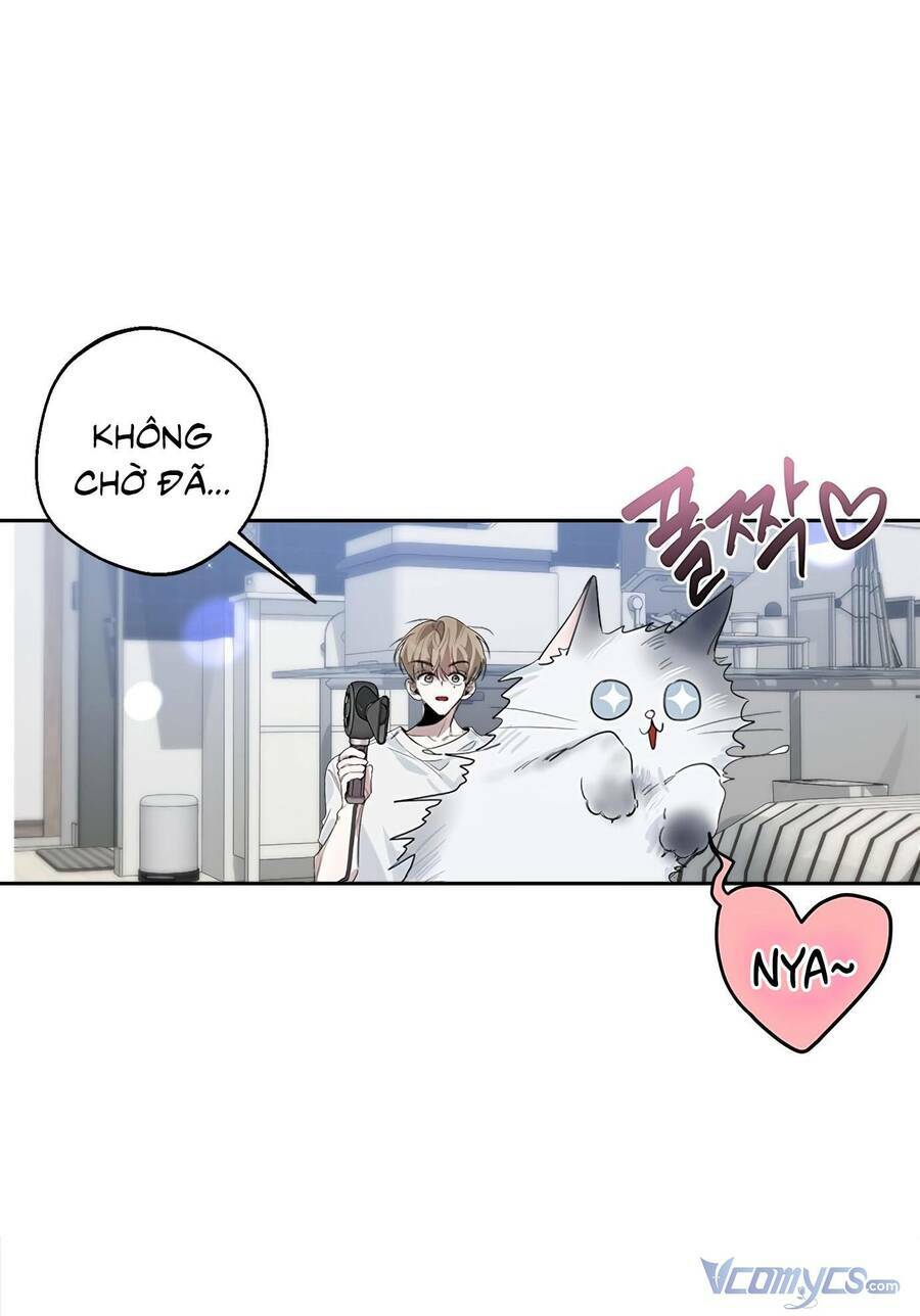 Đàn Anh Xấu Xa - Chap 35 - Trang 13
