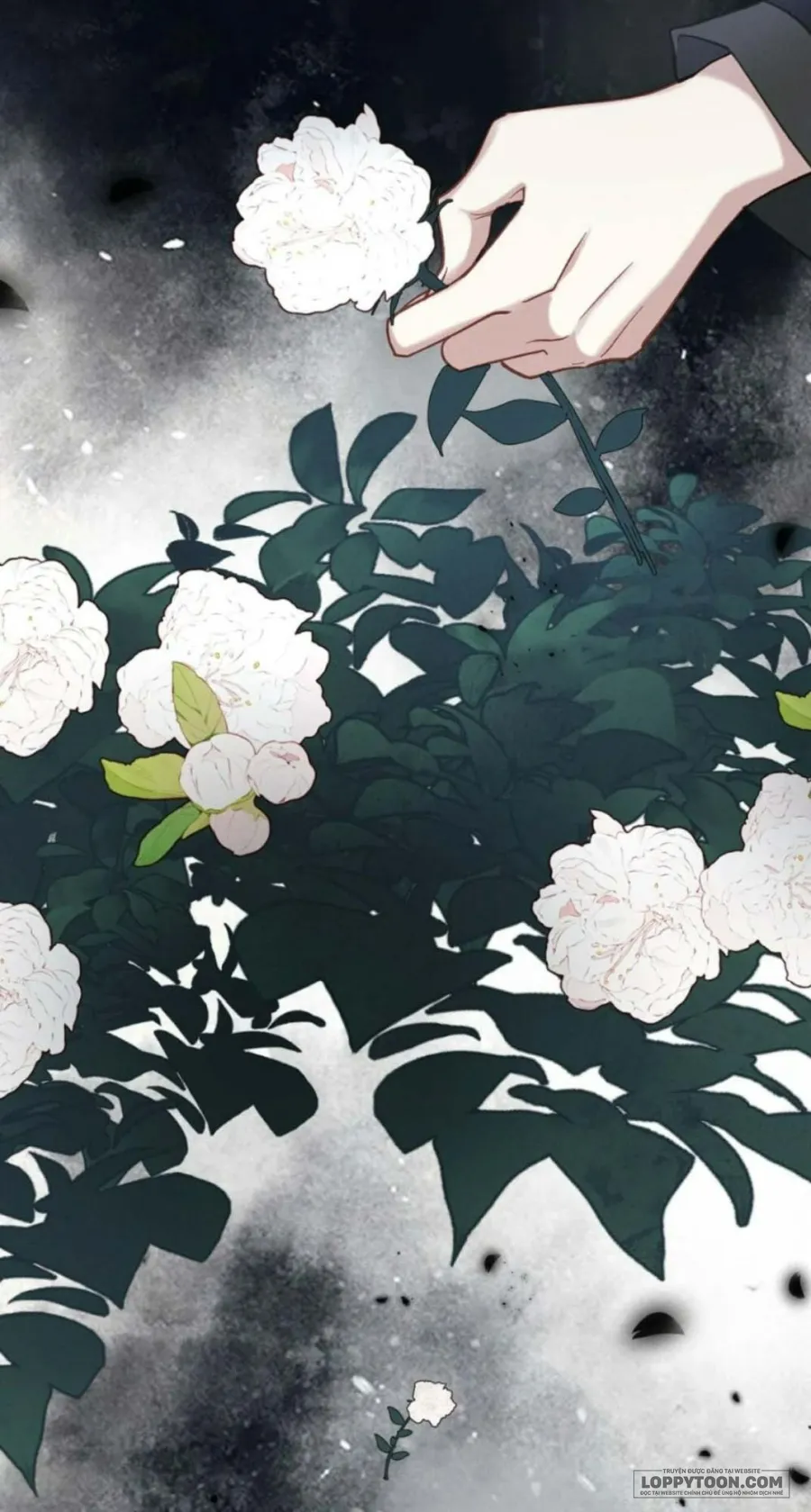 Dâng Cá Muối Cho Sư Tổ - Chap 29 - Trang 25