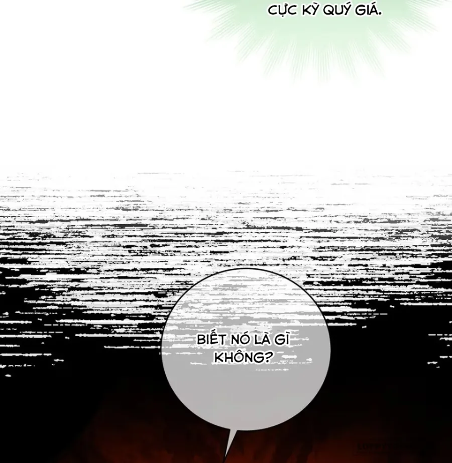 Dâng Cá Muối Cho Sư Tổ - Chap 8 - Trang 13