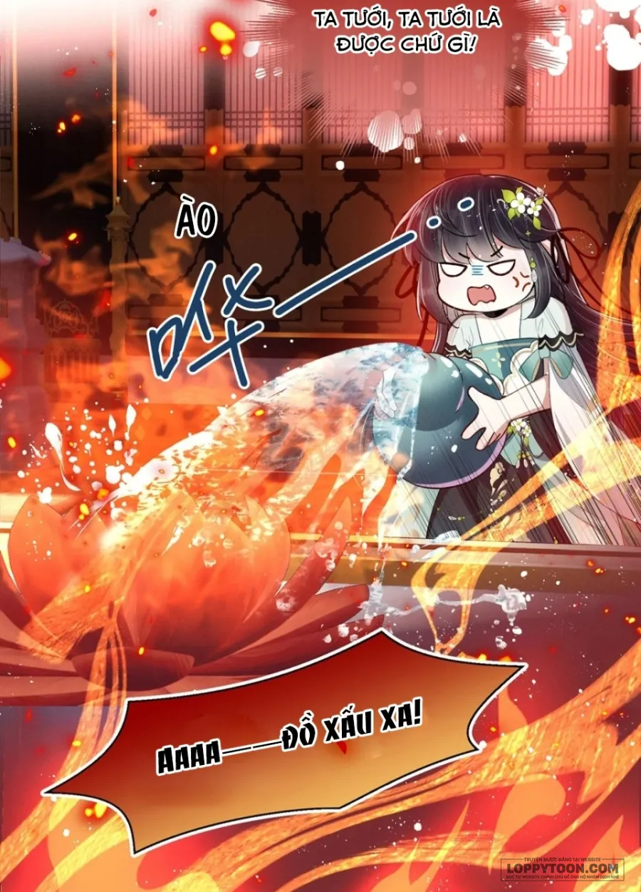 Dâng Cá Muối Cho Sư Tổ - Chap 8 - Trang 22