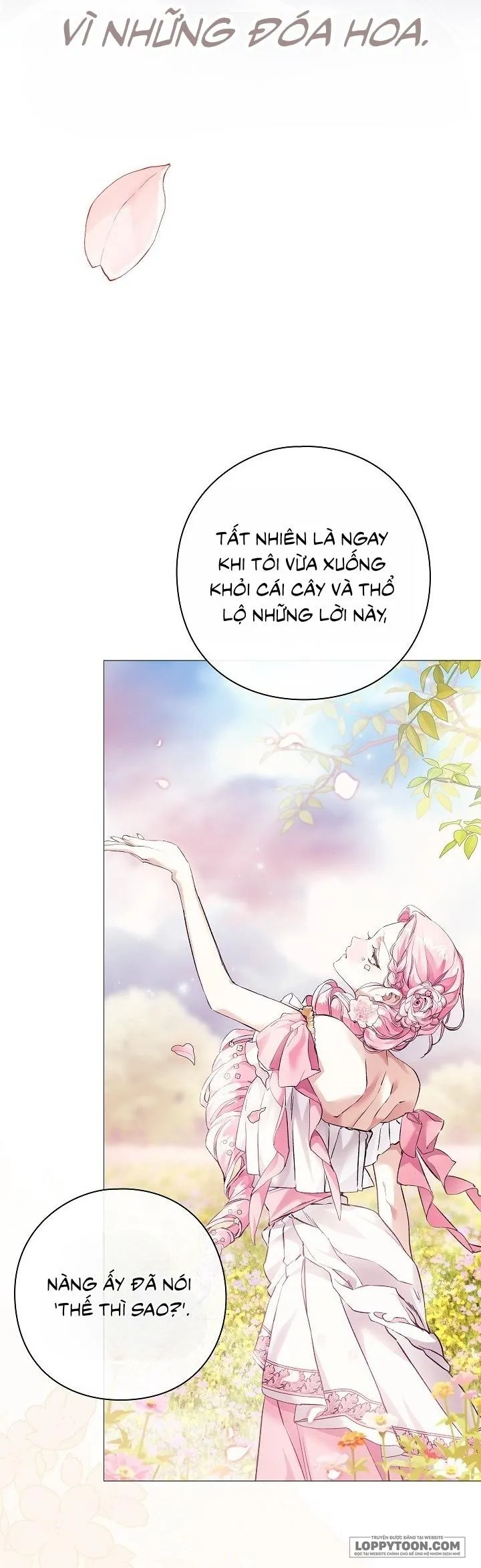 Dành Cho Các Nữ Thần: Dành Cho Daphne - Chap 19 - Trang 28