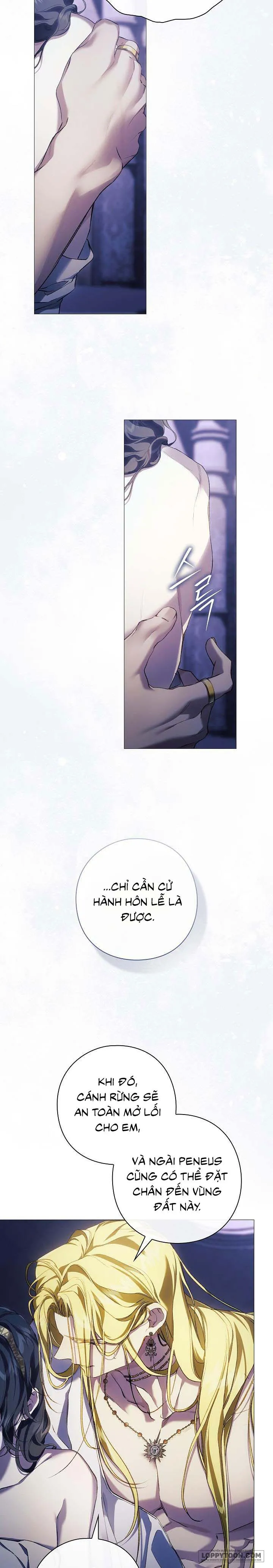 Dành Cho Các Nữ Thần: Dành Cho Daphne - Chap 26 - Trang 17
