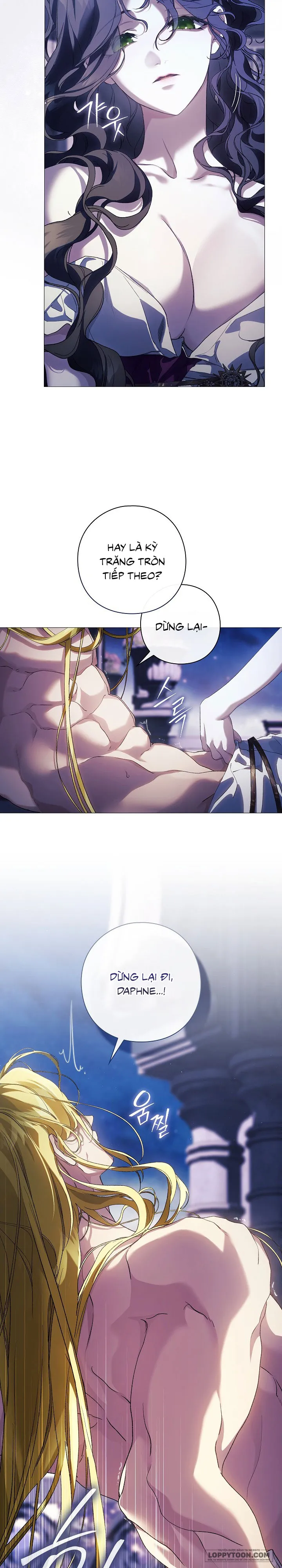 Dành Cho Các Nữ Thần: Dành Cho Daphne - Chap 31 - Trang 14
